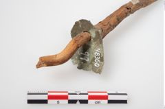 Foto von Bronzescheibe (NHMW-PRAE-048360)